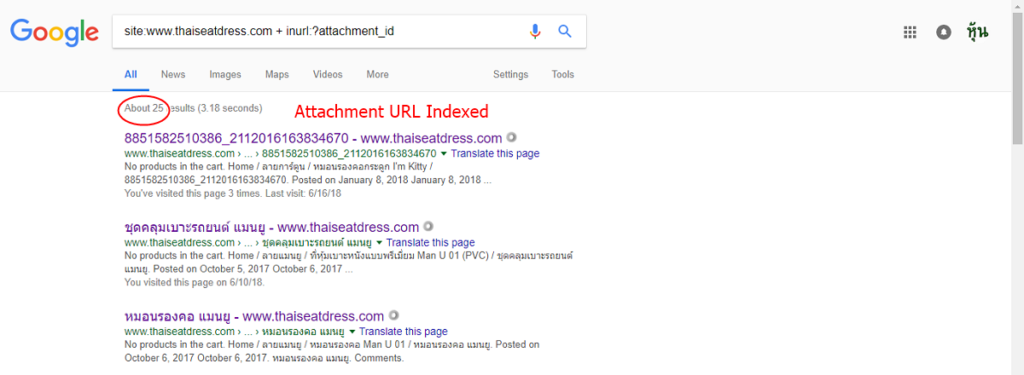 วิธีเช็ค Attachment URL Index